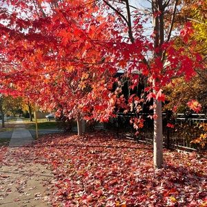 Meet your Posher, Nakita